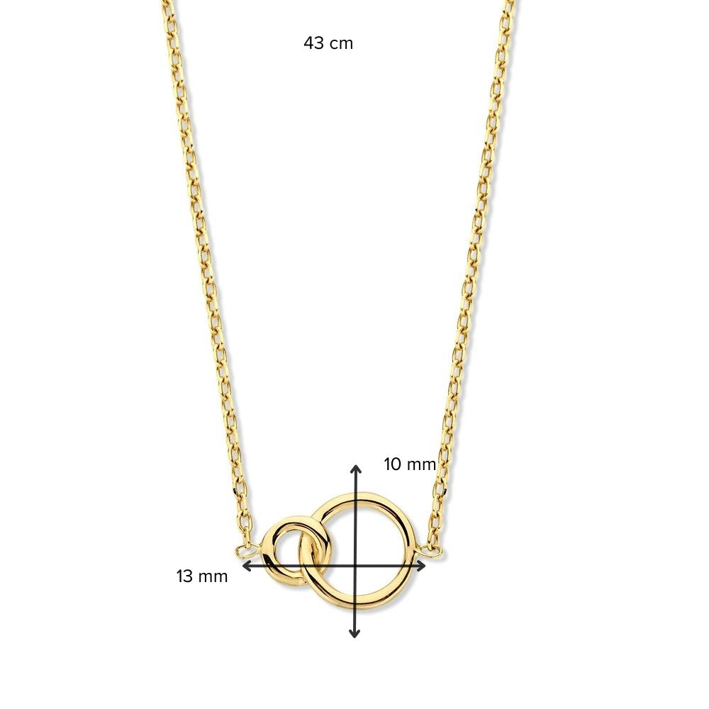 Goldhalskette mit geschliffener Ankerkette und verbundenen Kreisen – 14 Karat Eleganz für Damen