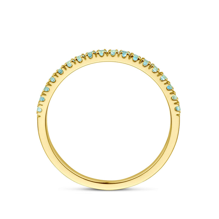 De Van der Kooij Collectie ring met geboortesteen aquamarijn maart in 14K geelgoud is voorzien van kleine aquamarijn edelstenen langs de bovenste helft van de band, weergegeven op een witte achtergrond.