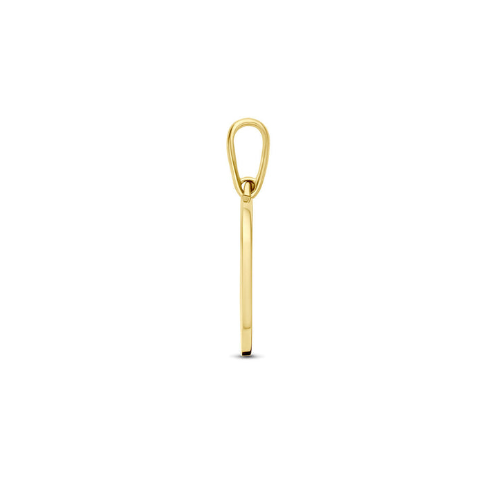 De Van der Kooij Collectie hanger met geboortebloem in 14K geelgoud heeft een slanke, verticale staafvormige hanger met een klein oogje. Deze is van de zijkant zichtbaar, waardoor het delicate profiel tegen een witte achtergrond wordt benadrukt.