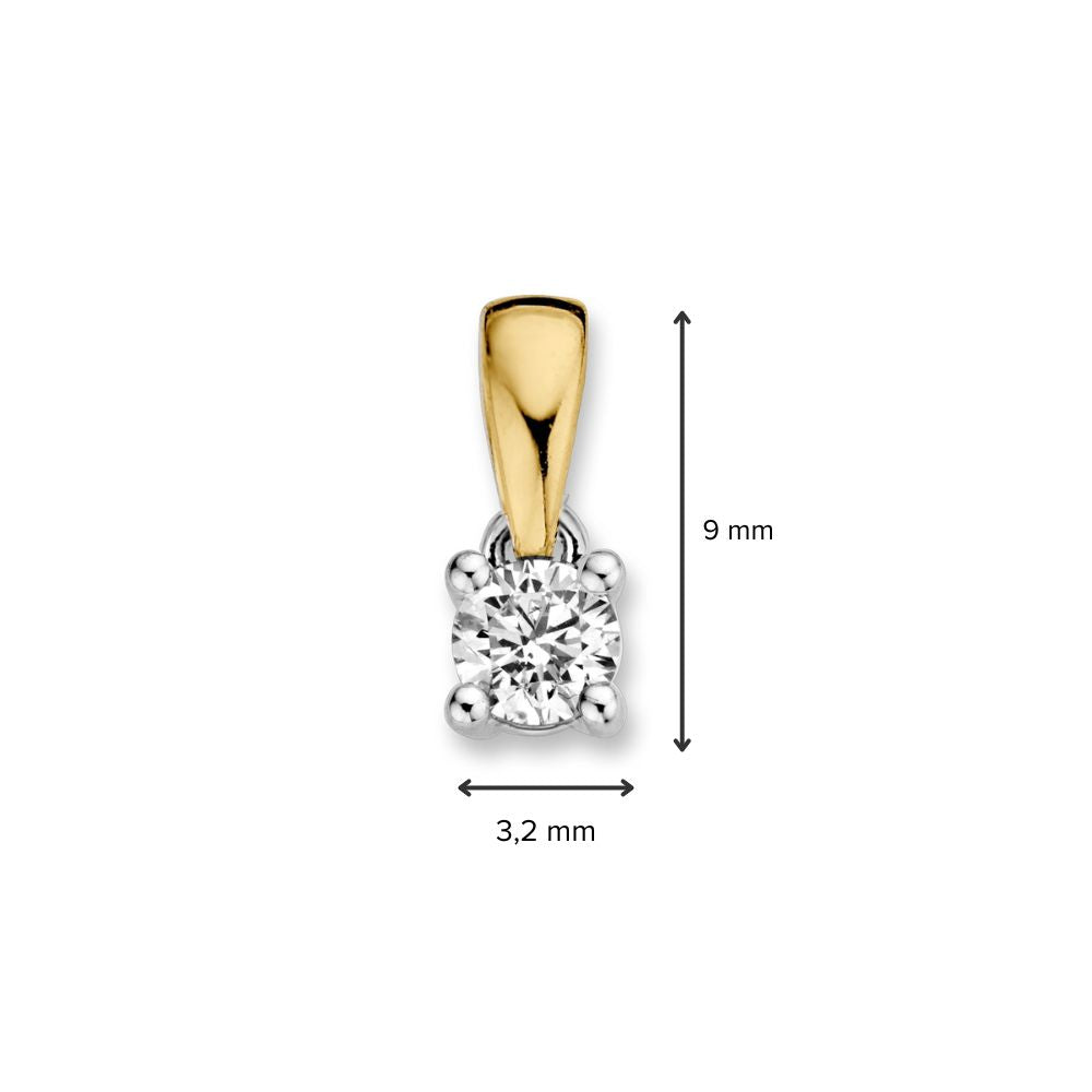 Bicolor 14 Karaat Gouden Solitair Hanger met 0,16ct Briljant Diamant