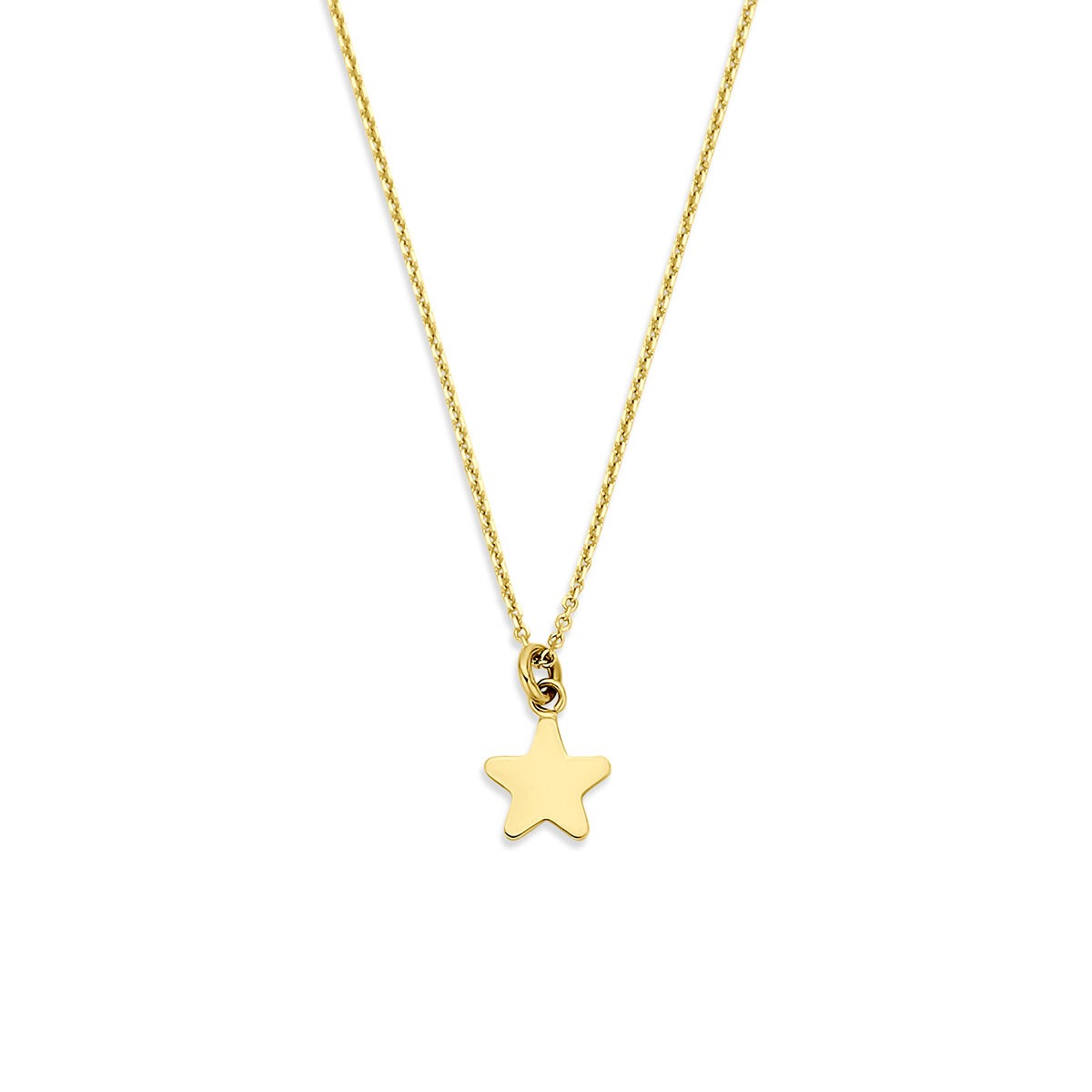 Halskette aus 14k Gelbgold mit einem sternförmigen Anhänger