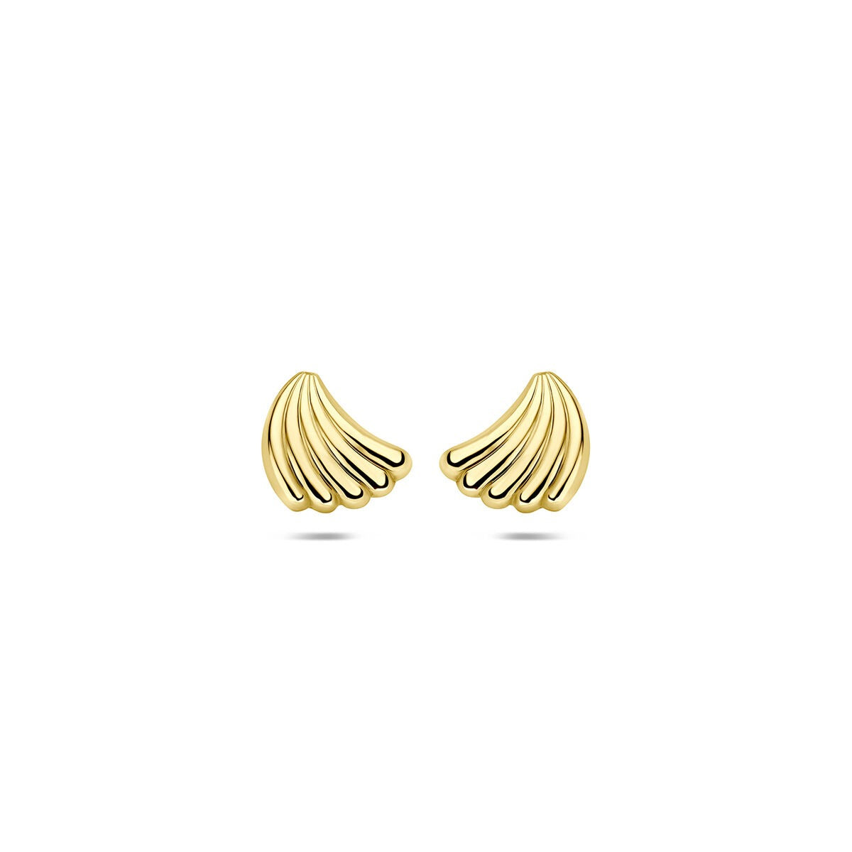 Ohrstecker aus 14 Karat Gelbgold in Form von geschwungenen Muscheln, 7 x 6 mm