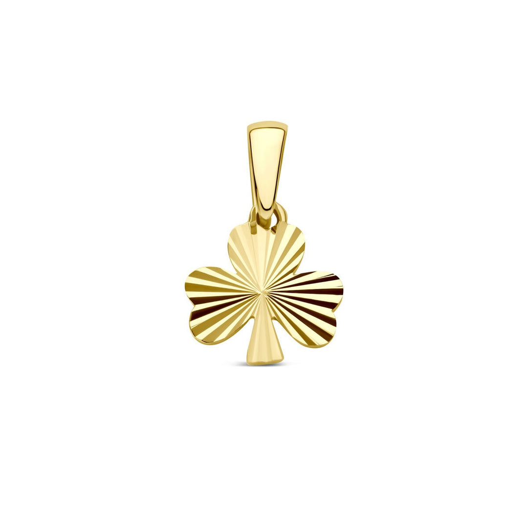 14k Geelgouden Ketting met Hanger Klaver