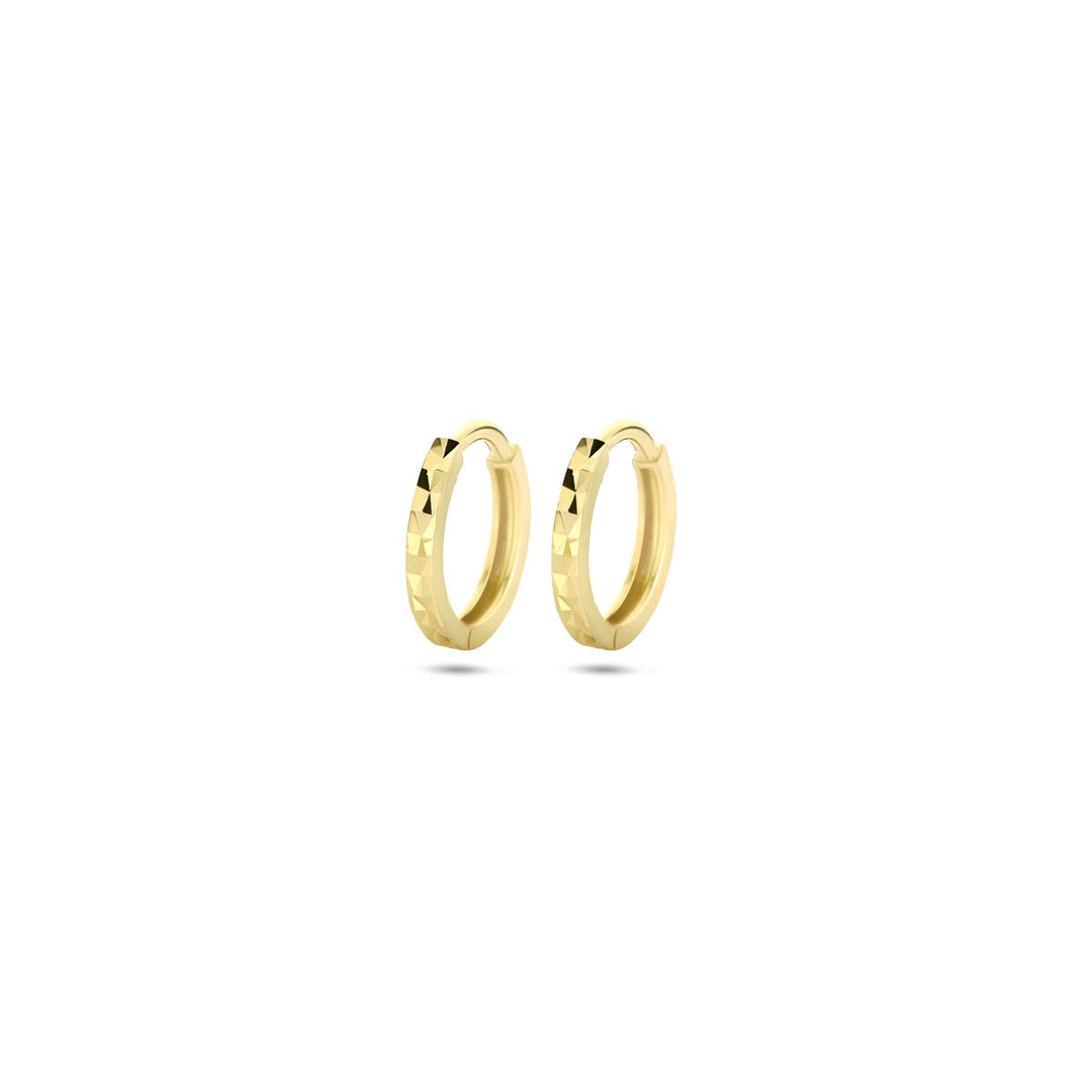 9k Geelgouden Klapoorringen 10.3 mm