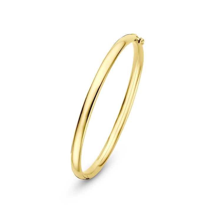 14k Geelgouden Silgold Bangle 5 mm Dames