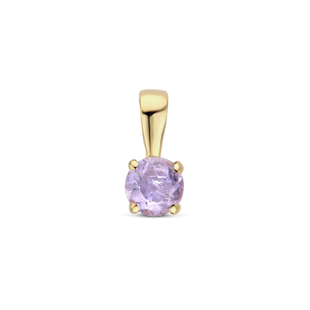 14k Geelgouden Hanger met Amethist