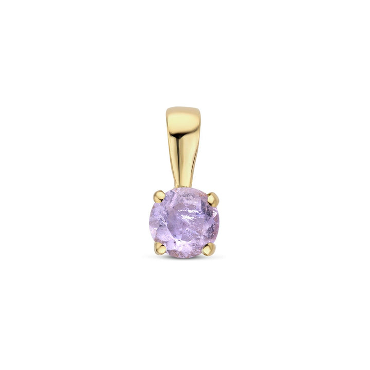 14k Geelgouden Hanger met Amethist