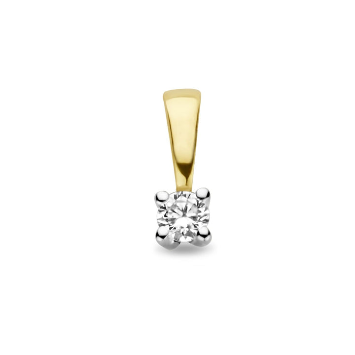 14k bicolor gouden hanger met diamant