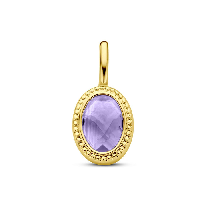 14k Geelgouden Hanger met Amethist – Ovale Zetting