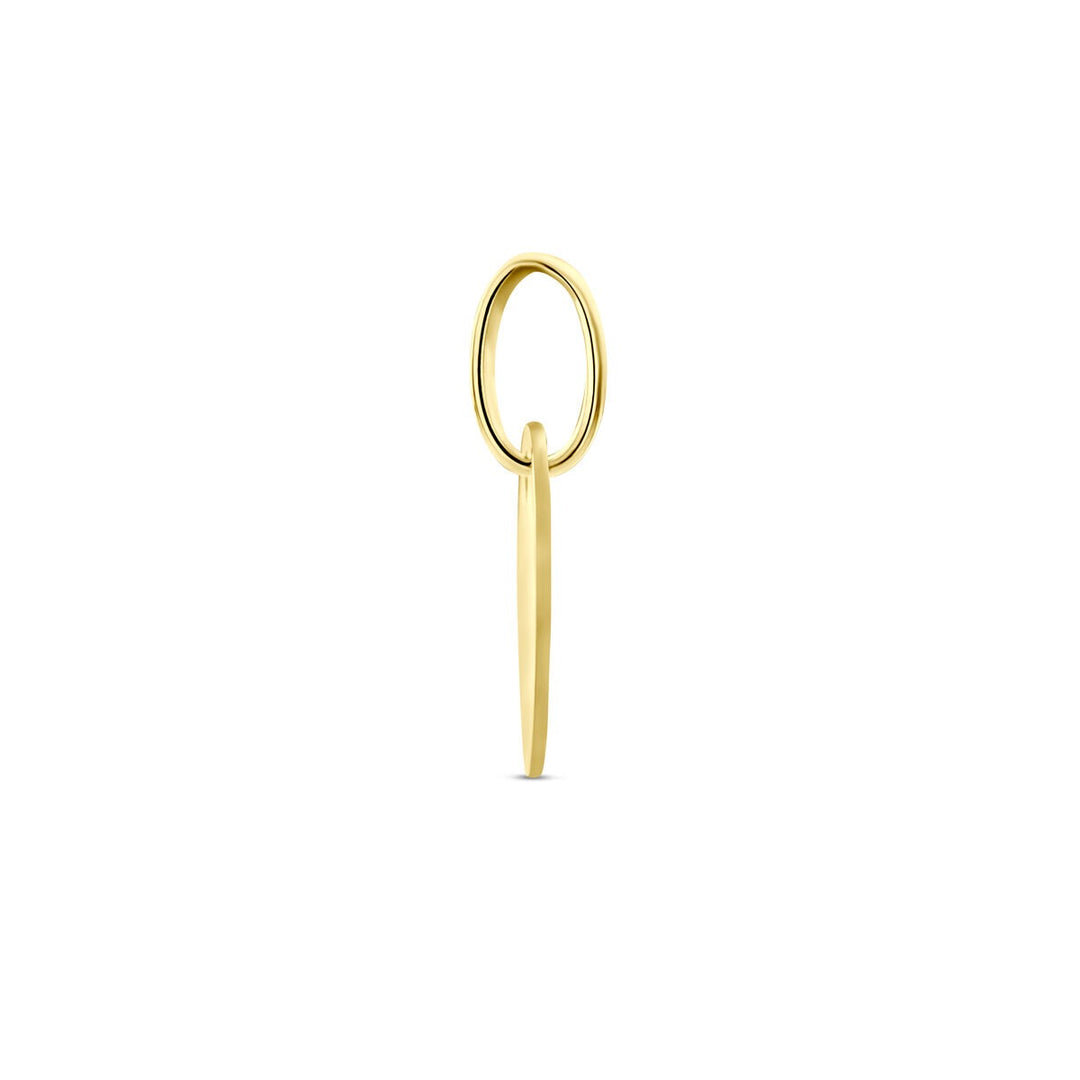 9k geelgouden ronde graveerhanger