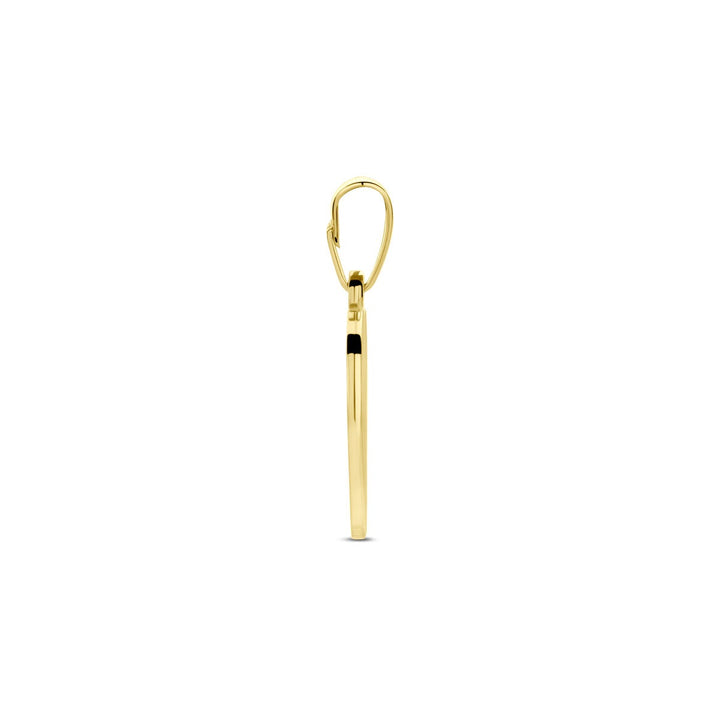 14k Geelgouden hanger in hartvorm