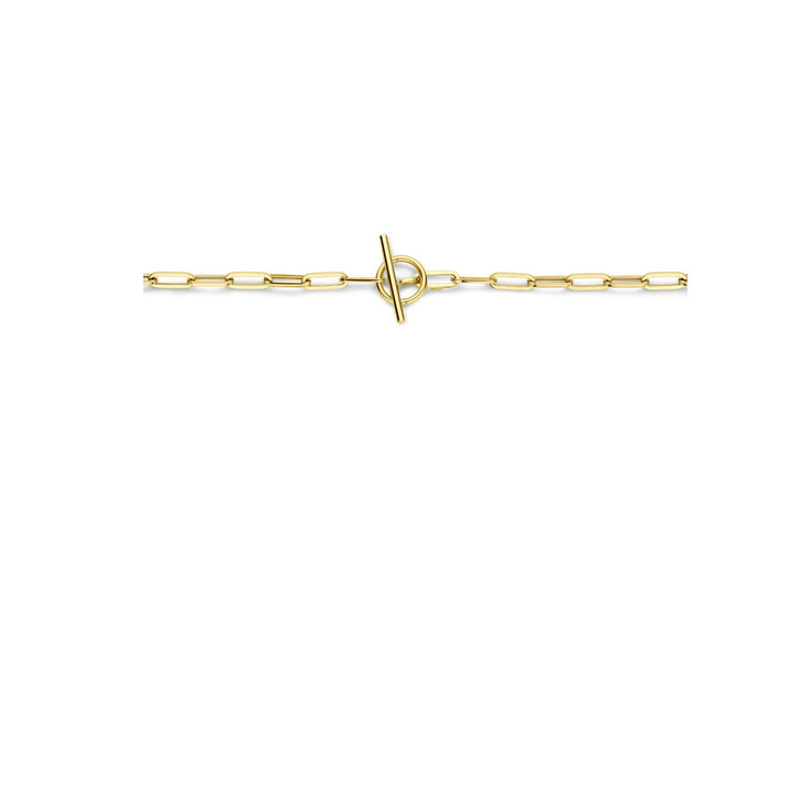 14k Geelgouden dames collier met kapittelslot – anker schakel