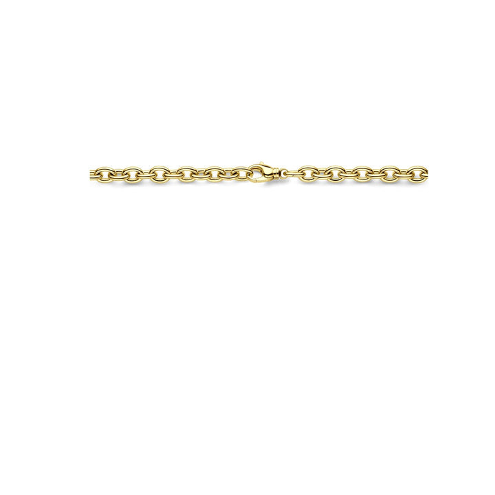 Gouden Collier 14k Anker Schakel – Dames