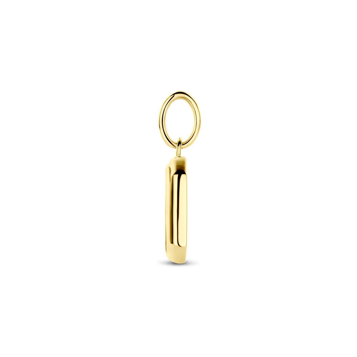 Vergoldeter Silberanhänger mit Onyx – 20 mm