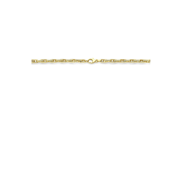 14k Geelgouden Collier Anker Schakel