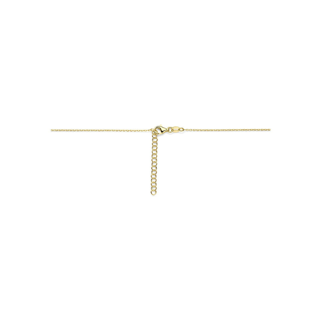 Verguld geel en gerhodineerd 925 zilveren collier met hartje