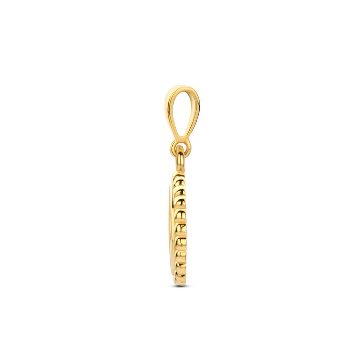 9k geelgouden hanger hart