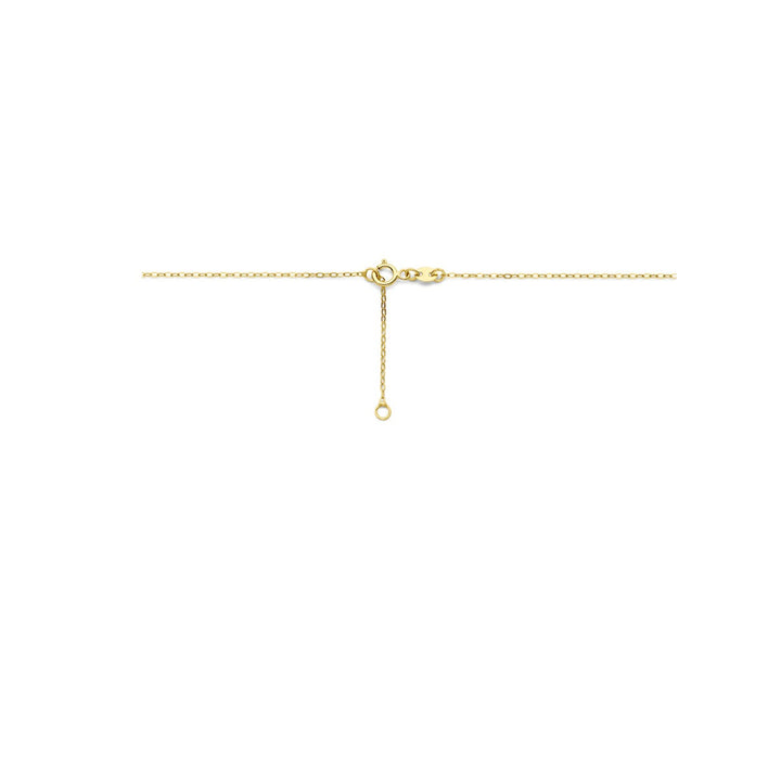 9k Geelgouden Collier met Druppel