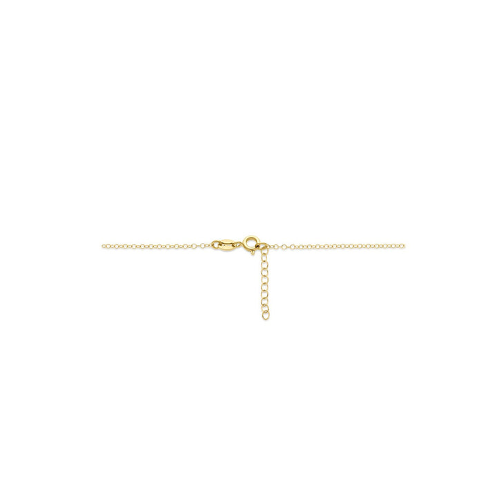 14k Geelgouden Ketting Ovaal Schakel