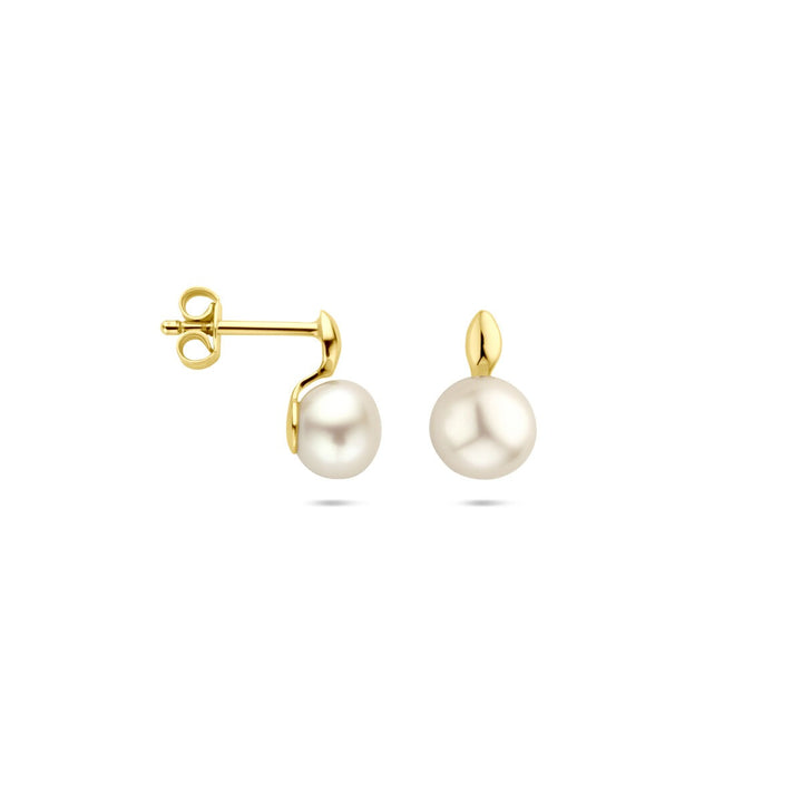 14k geelgouden oorknoppen met parel