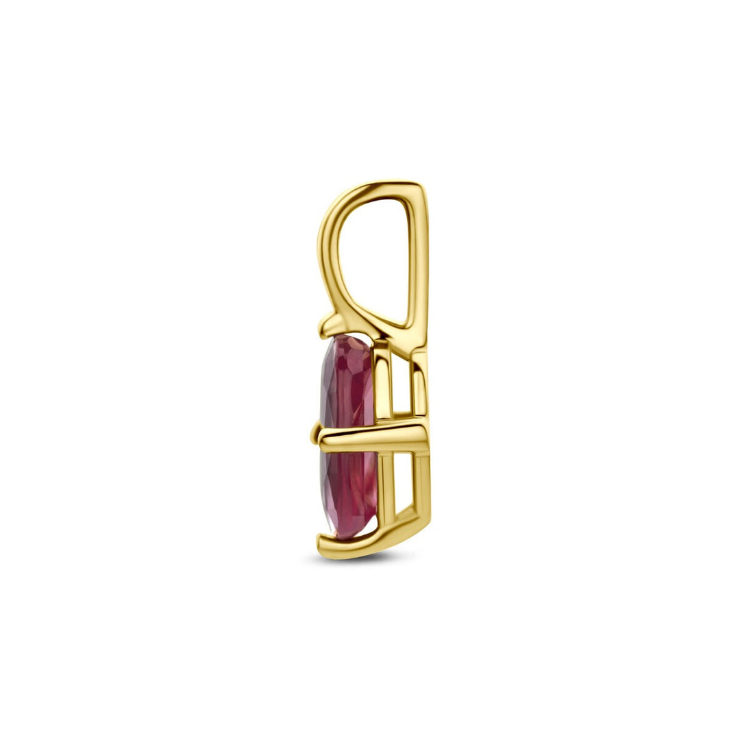 14k geelgouden hanger met robijn