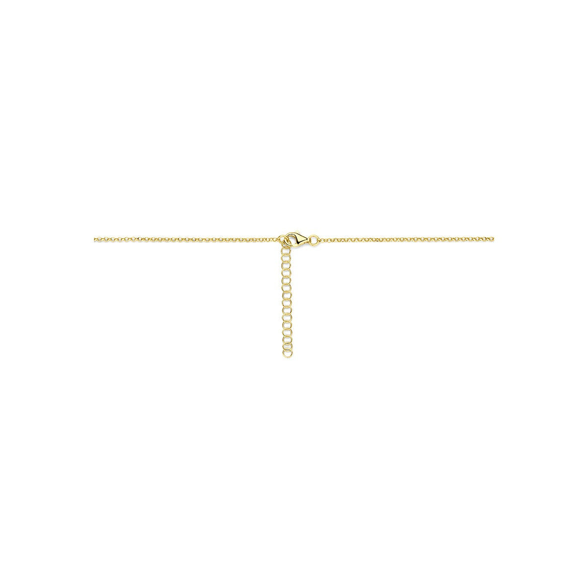 Verguld 925 zilveren collier