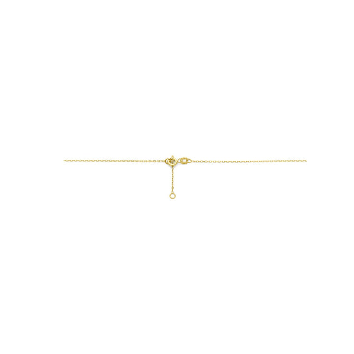 Halskette Kreis und Diamant 0,01 ct H SI 43 - 45 cm 14K Gelbgold