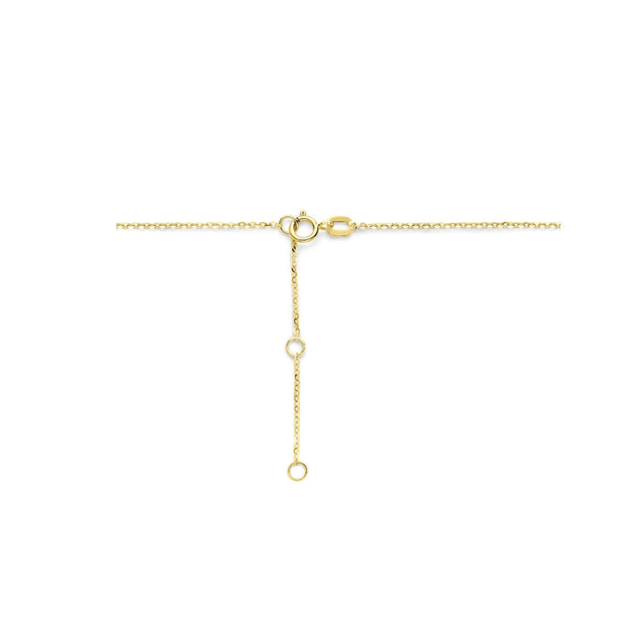 Gouden Collier 14k met Zirkonia – Entourage Zetting