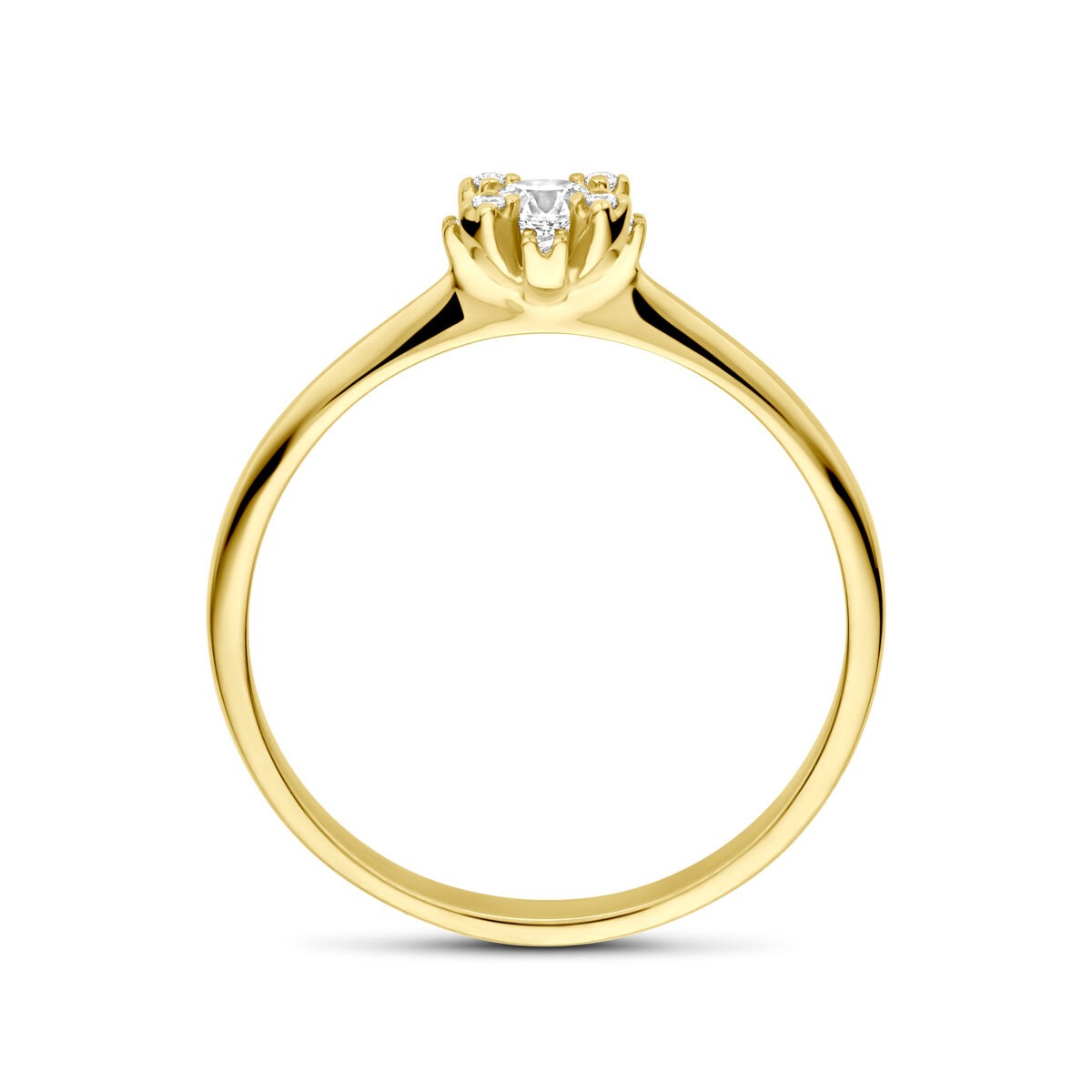 14k Gelbgold Damenring mit Zirkonia – eleganter Ring im Entourage-Stil