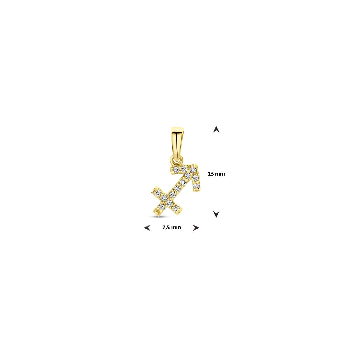 14 Karat Gelbgold Sternzeichenanhänger mit Diamant