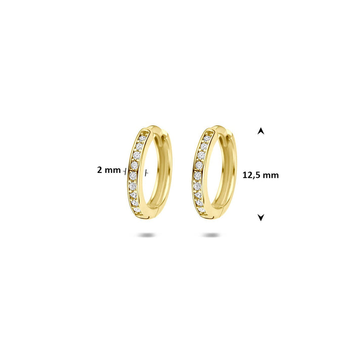 9k Geelgouden klapoorringen met zirkonia