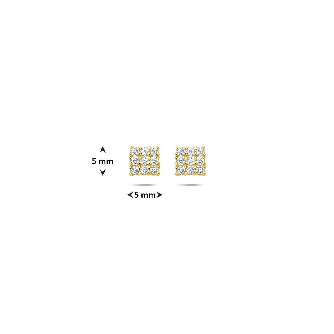 Ohrstecker Zirkonia 14K Gelbgold
