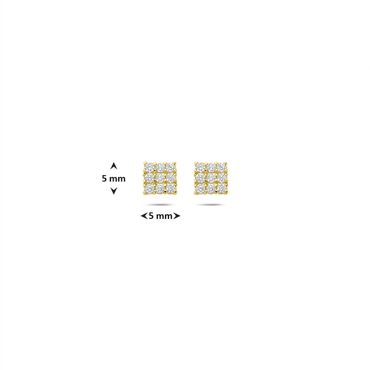 Ohrstecker Zirkonia 14K Gelbgold