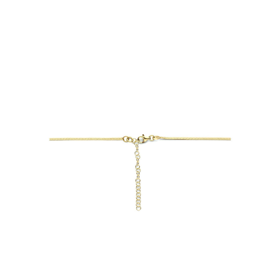 Verguld Zilveren Collier met Platte Slangschakel