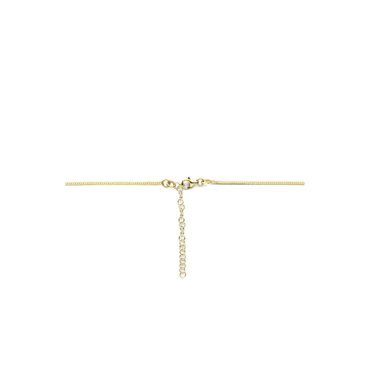 Verguld Zilveren Collier met Platte Slangschakel