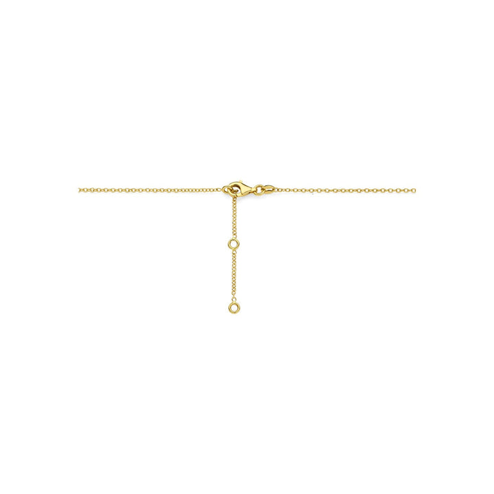 14k geelgouden collier met parels