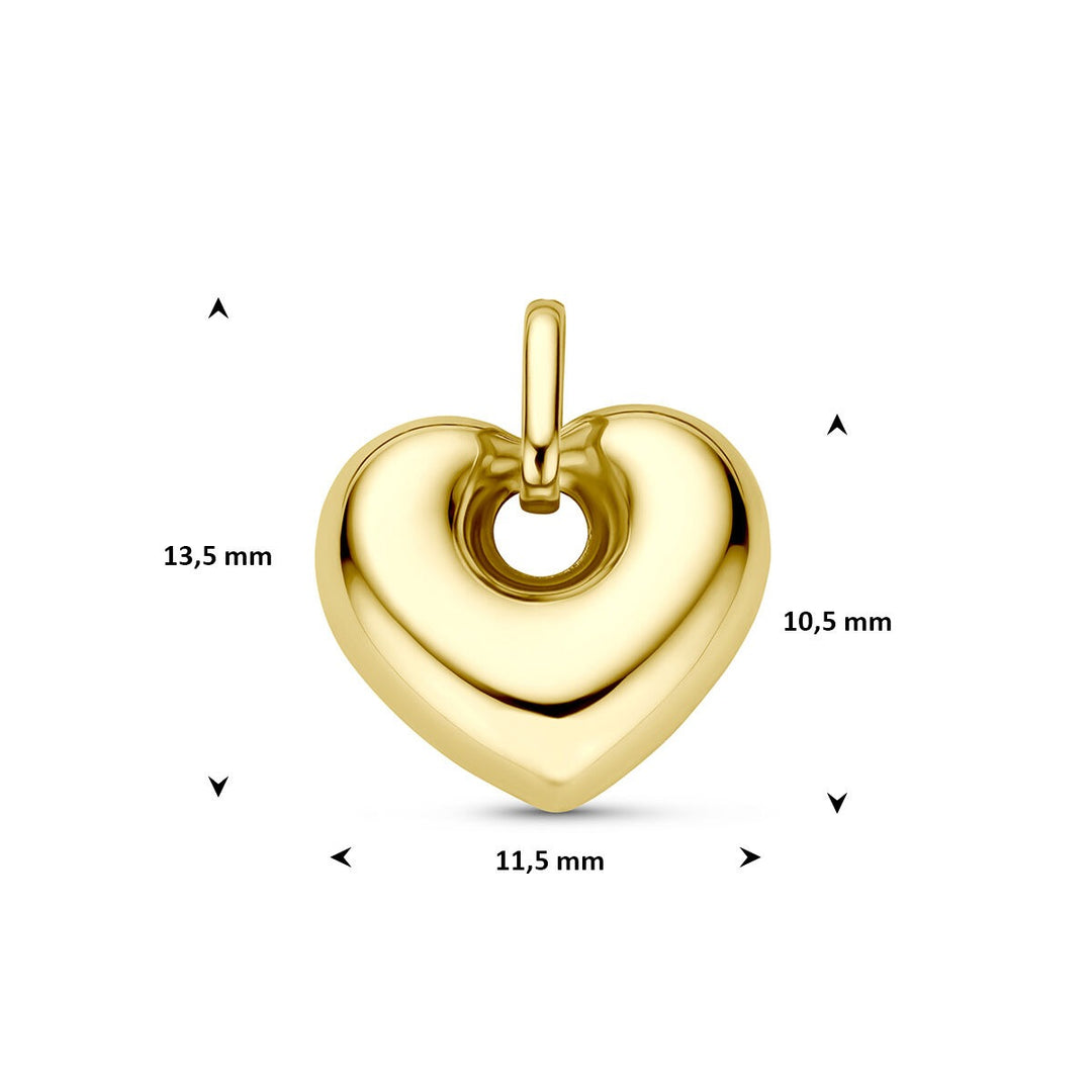 9k Geelgouden hart hanger