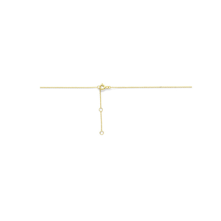 14k Geelgouden Collier met Vlinder – Elegant en Speels