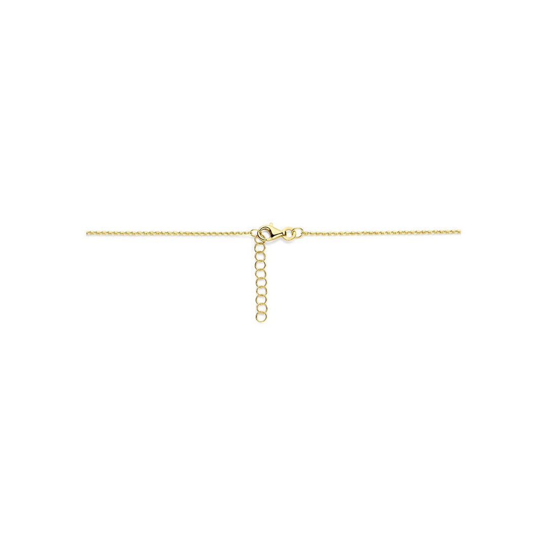 14k Geelgouden anker collier