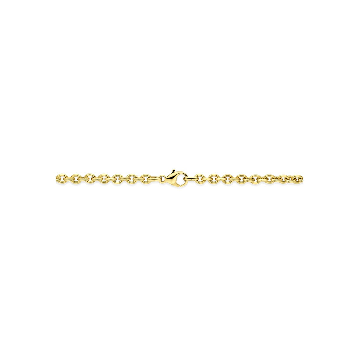 14k Gelbgoldkette mit Ankerkette