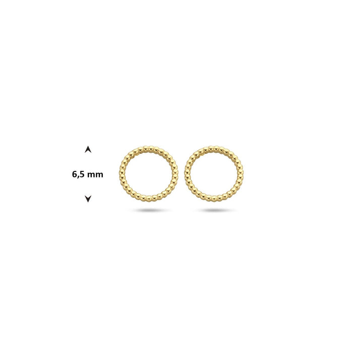 Ohrstecker rund 14K Gelbgold
