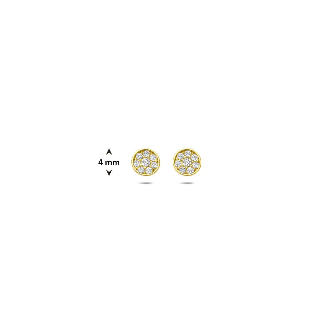 Ohrstecker Zirkonia 14K Gelbgold
