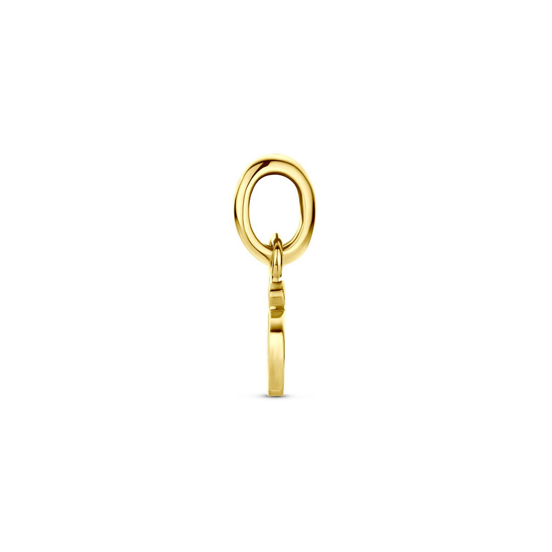 14k Geelgouden lieveheersbeestje hanger met emaille