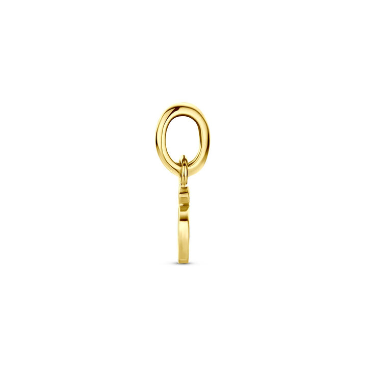 14k Geelgouden lieveheersbeestje hanger met emaille