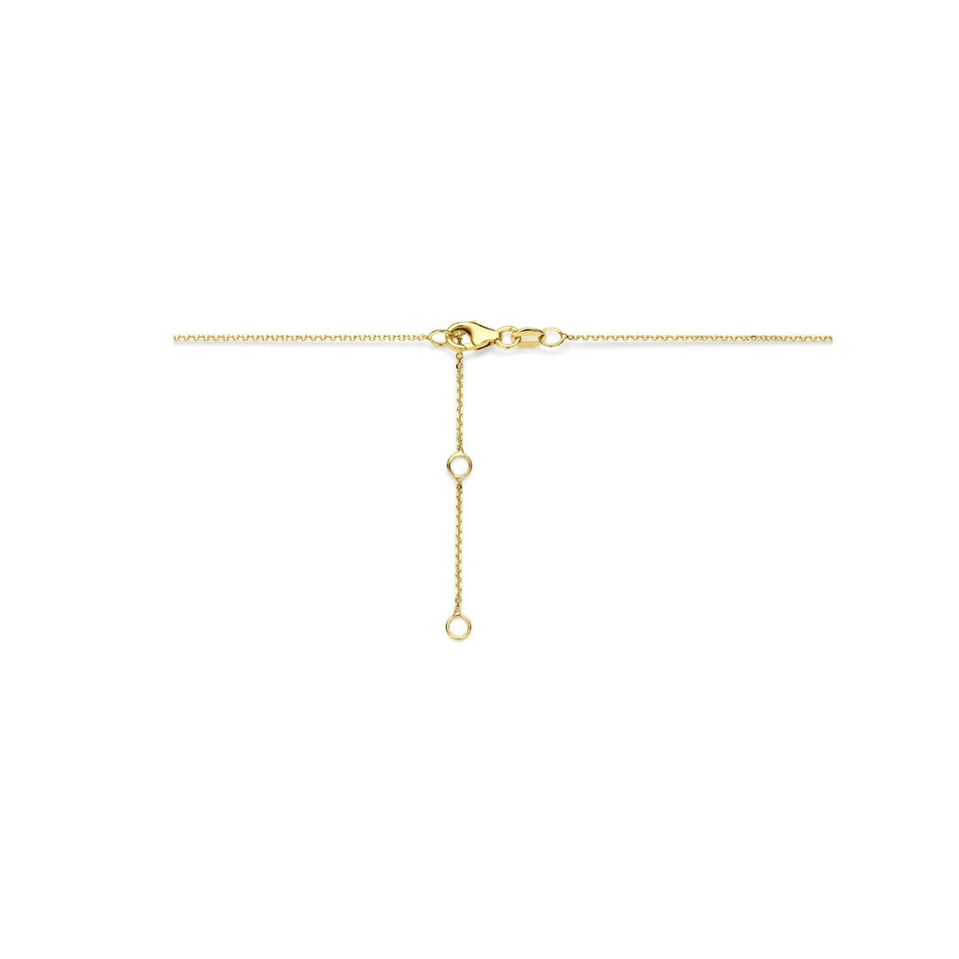 14k Geelgouden ketting met klaver