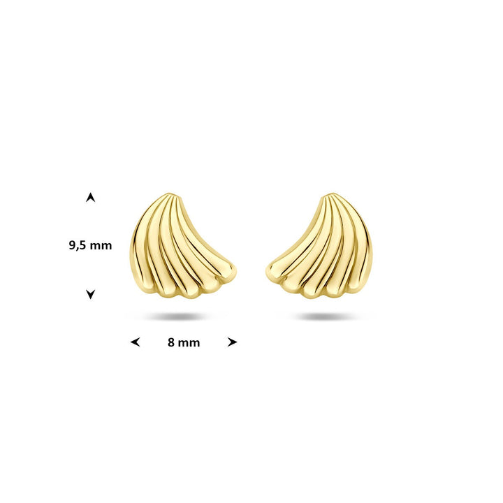 9k Geelgouden oorknoppen