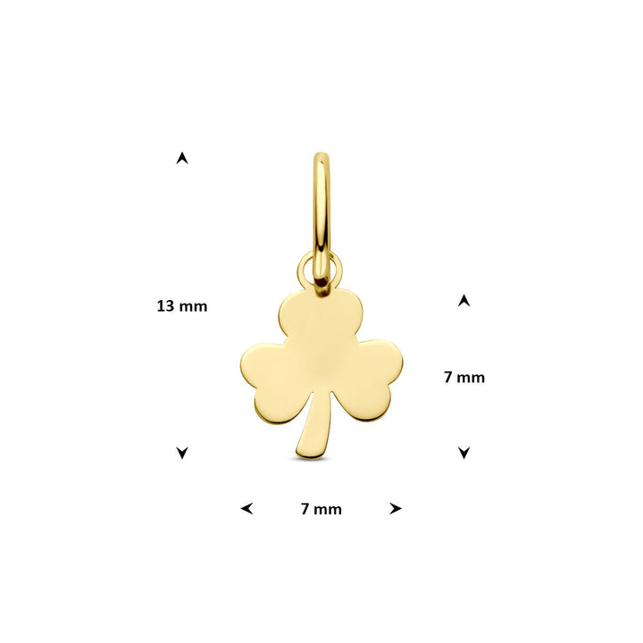 14k Geelgouden Ketting met Hanger Klaver