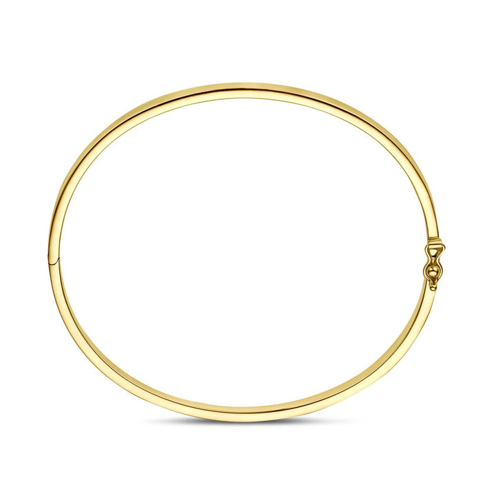14k Geelgouden Silgold Bangle Dames