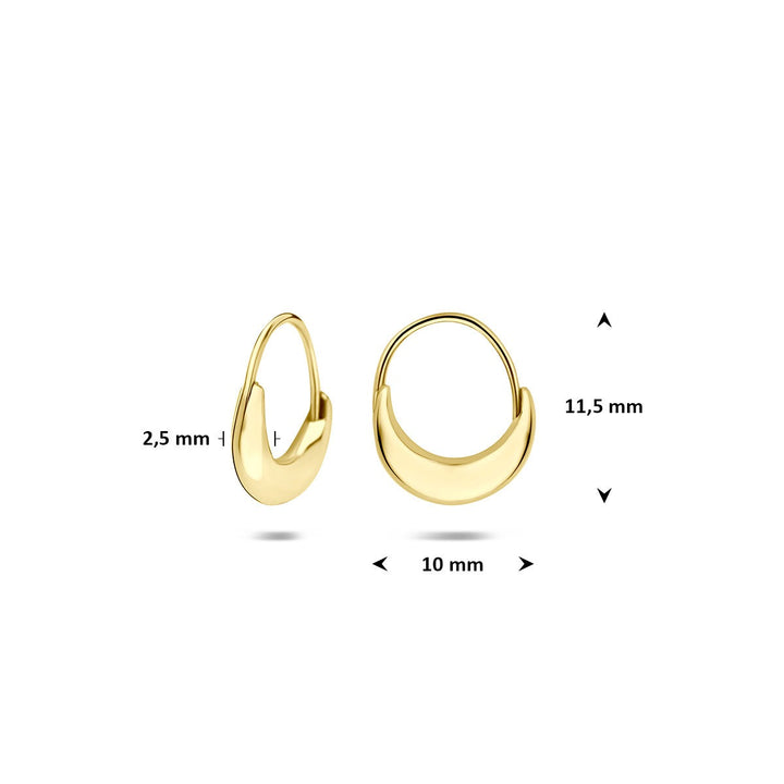 14k Geelgouden klapoorringen