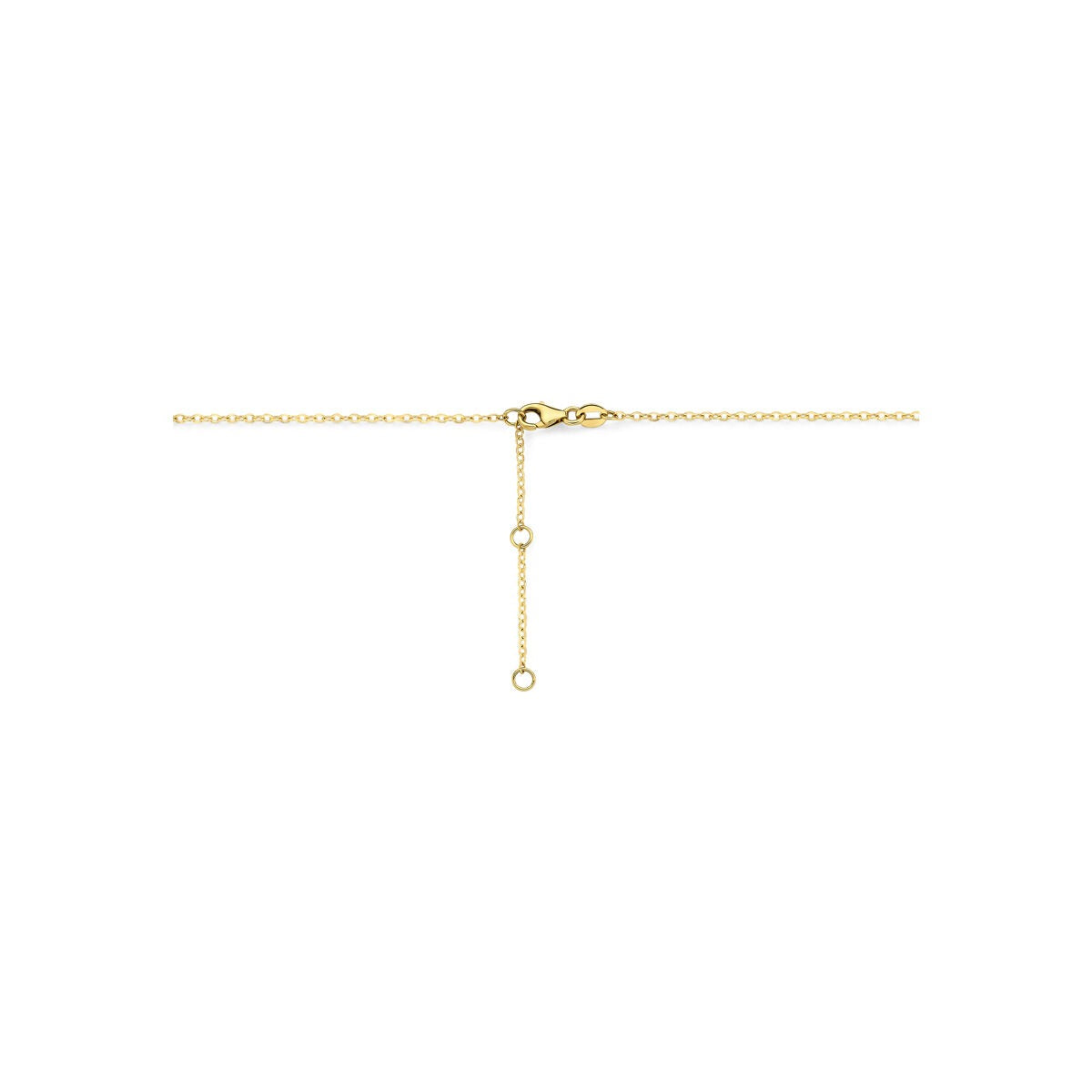 14k Geelgouden collier met maansteen